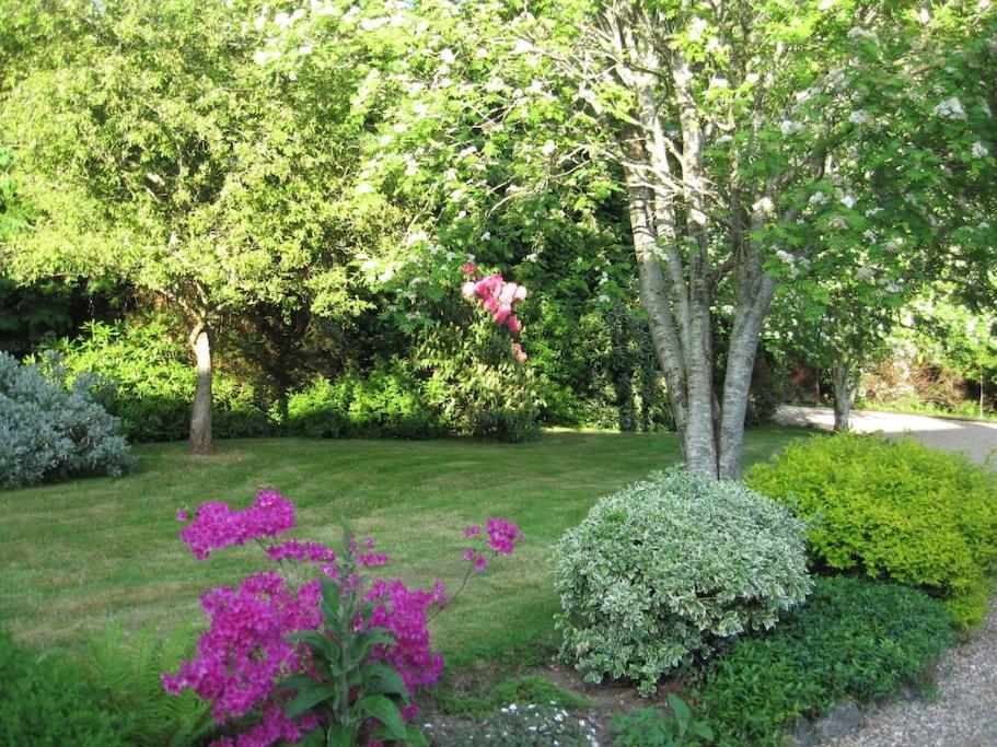 Self Catering Apartment At Beechwalk House. Enniskerry Extérieur photo