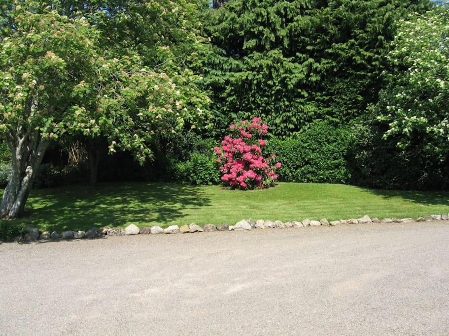 Self Catering Apartment At Beechwalk House. Enniskerry Extérieur photo